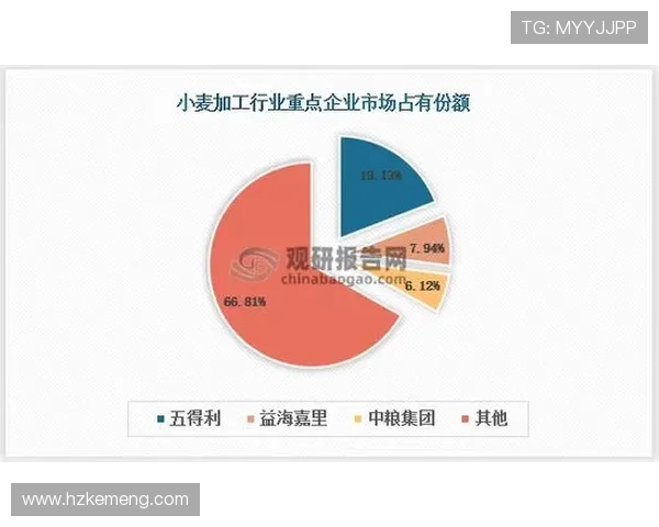 倪永康的政治生涯与影响力分析及其在中国现代史上的重要地位探讨